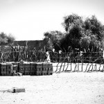 602167_10200827271073229_2070857621_n